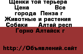 Щенки той терьера › Цена ­ 10 000 - Все города, Пенза г. Животные и растения » Собаки   . Алтай респ.,Горно-Алтайск г.